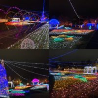 SAKUBLOOM イルミネーション　 ファイナルカウントダウン